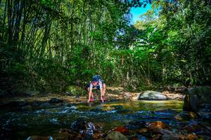 BIB: 
                            <button type="button" onclick="openModal(21765062)" class="btn btn-primary btn-sm float-right btn-popup" data-toggle="modal" data-target=".modal-high-quality">
                        <i class="fas fa-shopping-cart"></i> Add to Cart
                    </button>
                                            <button type="button" onclick="isThisMe(21765062, true)" class="btn btn-success btn-sm float-right btn-popup btn-isme hidden" data-toggle="tooltip" data-placement="bottom" title="นี่คือรูปของคุณใช่ไหม คลิกที่นี่เพื่อเอาเข้าอัลบั้ม">
                        <i class="fas fa-plus"></i> Add to album
                    </button>
                    <button type="button" onclick="isThisMe(21765062, false)" class="btn btn-warning btn-sm float-right btn-popup btn-isnotme hidden">
                        <i class="fas fa-ban"></i> Remove from album
                    </button>